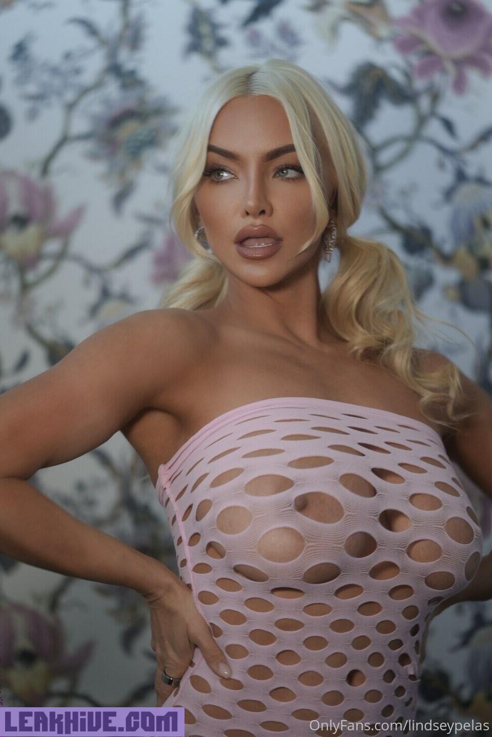 Lindsey Pelas Sexy Nude Pictures VII 111820